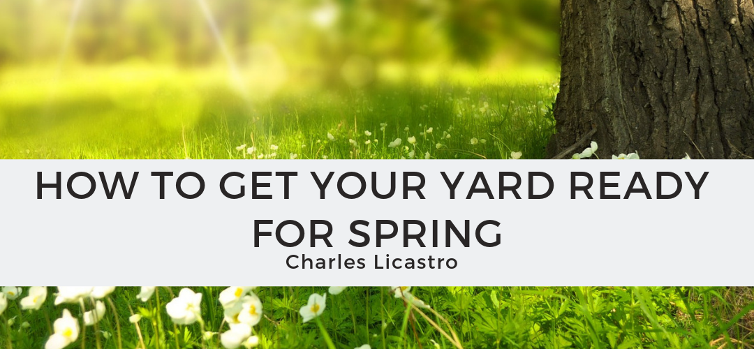 How to Get Your Yard Ready for Spring