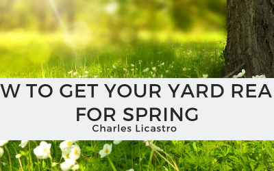 How to Get Your Yard Ready for Spring