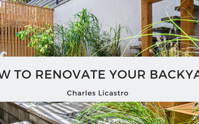 How to Renovate Your Backyard